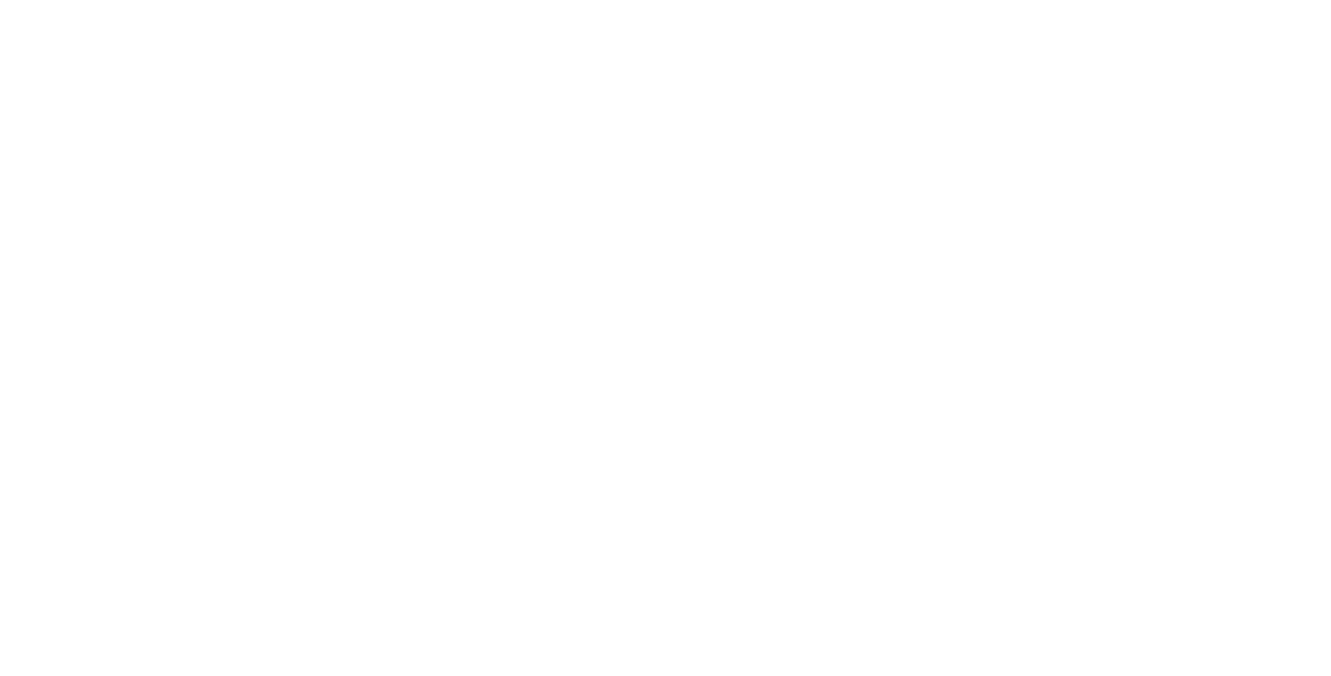 Vista LLC